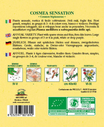 Cosmea Sensation - Organic Seeds