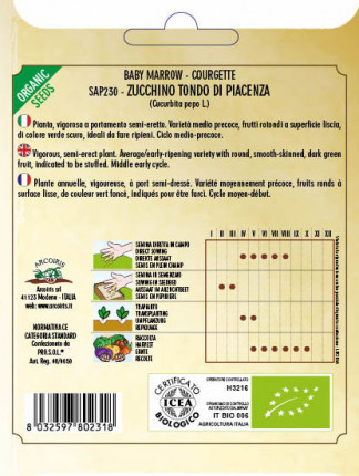 Zucchino Tondo Scuro di Piacenza - Sementi Biologiche