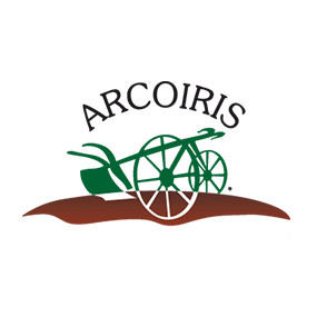 Wheat Khorasan Arcoiris organic seeds