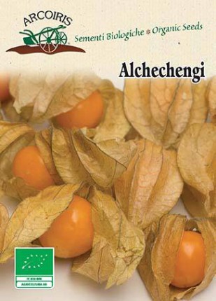 Alchechengio -  Organic Seeds