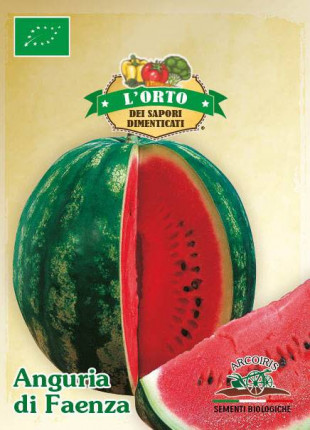 Watermelon Di Faenza - Organic Seeds