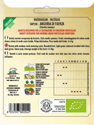 Watermelon Di Faenza - Organic Seeds