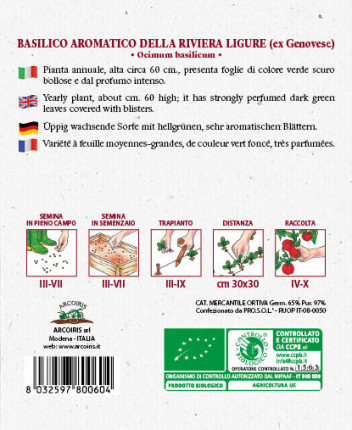 Ligurian basil - Organic Seeds