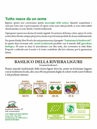 Basilico della Riviera Ligure - Sementi Biologiche