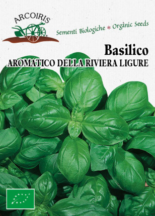 Ligurian basil - Organic Seeds