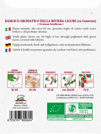 Basilico della Riviera Ligure - Sementi Biologiche