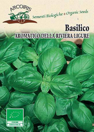 Ligurian basil  - Organic Seeds