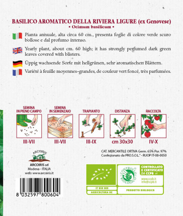 Basilico Genovese - Sementi Biologiche