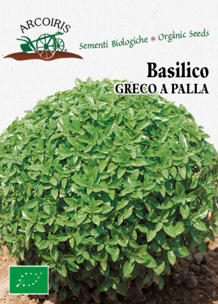 Basilico Greco a Palla - Sementi Biologiche