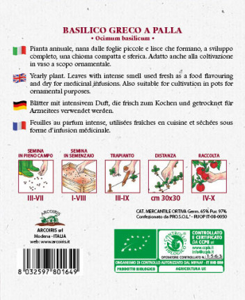 Basilico Greco a Palla - Sementi Biologiche