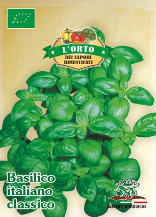 Ligurian basil  - Organic Seeds