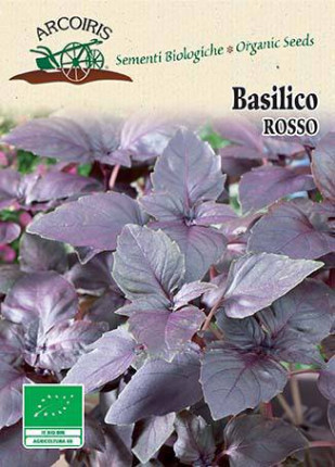 Basilico Rosso - Sementi Biologiche