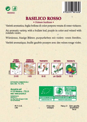 Basilico Rosso - Sementi Biologiche
