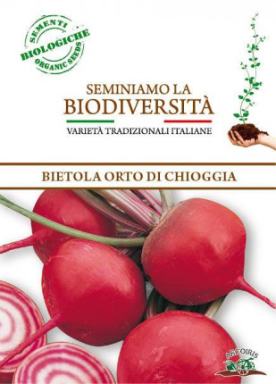 Beet round of Chioggia - Organic Seeds