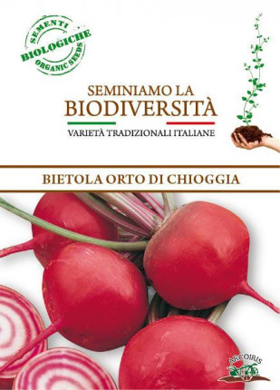 Bietola da Orto di Chioggia - Sementi Biologiche