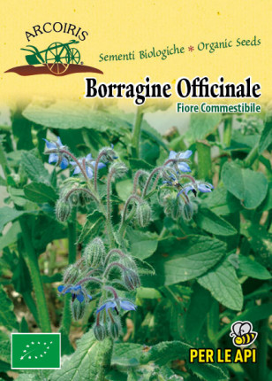 Borragine Officinale - Sementi Biologiche