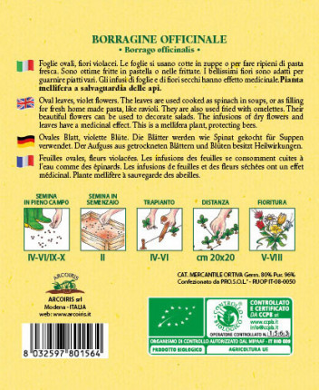 Borage Officinalis - Organic Seeds