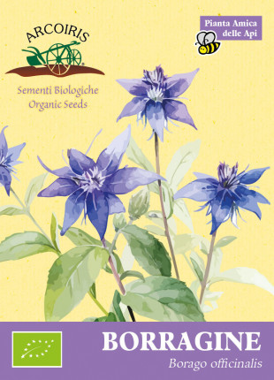 Borragine Officinale - Sementi Biologiche