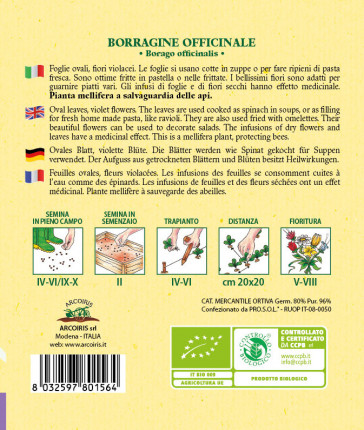 Borragine Officinale - Sementi Biologiche