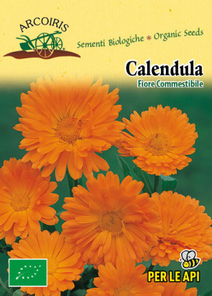 Calendula officinalis - Organic Seeds