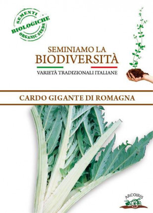 Cardo Gigante di Romagna - Sementi Biologiche