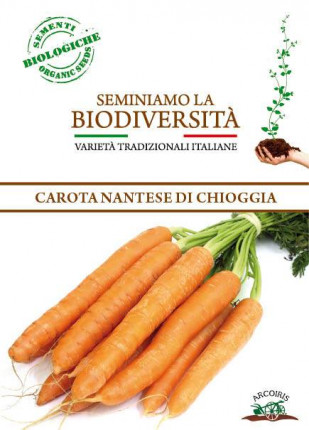 Carrot Nantes of Chioggia - Organic Seeds