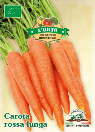 Carota Rossa Lunga Ottusa - Sementi Biologiche