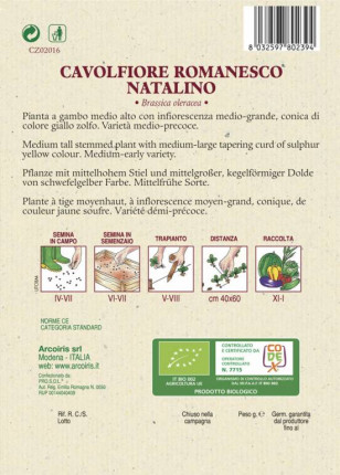 Cauliflower Romanesco Natalino - Organic Seeds