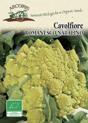 Cauliflower Romanesco Natalino - Organic Seeds