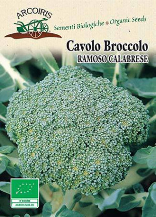 Cavolo Broccolo Calabrese - Sementi Biologiche