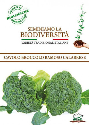 cabage Broccolo Ramoso Calabrese - Organic Seeds