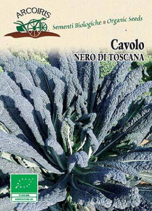 Tuscan Black cabage Laciniato - Organic Seeds