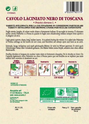 Tuscan Black cabage Laciniato - Organic Seeds