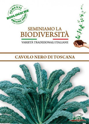 Black Kale Di Toscana - Organic Seeds