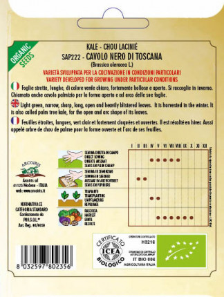 Cabage Nero Di Toscana - Organic Seeds