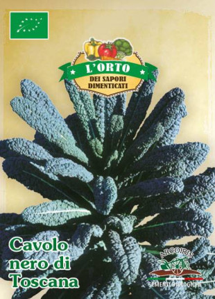 Cabage Nero Di Toscana - Organic Seeds