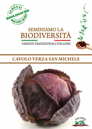 Cabage Verza San Michele - Organic Seeds