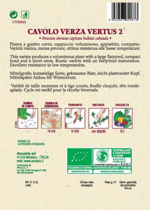 Savoy Cabage Vertus 2 - Organic Seeds