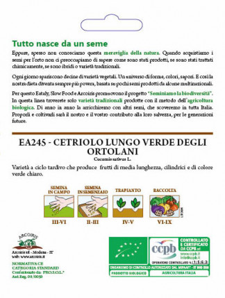 Cucumber Lungo Verde Degli Ortolani - Organic Seeds