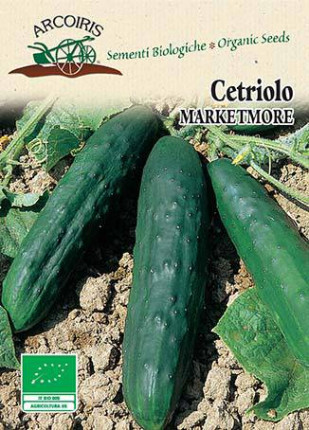 Slicing Cucumber Marketmore - Organic  Seeds