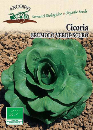 Chicory Grumulo Verde Scuro - Organic  Seeds
