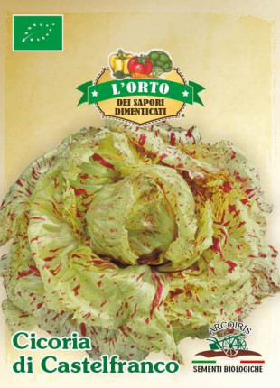 Chicory Di Castelfranco - Organic Seeds