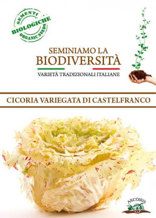 Chicory Di Castelfranco - Organic Seeds