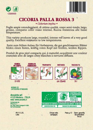 Chicory Palla Rossa 3 - Organic  Seeds