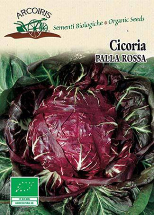 Chicory Palla Rossa 3 - Organic  Seeds