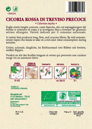 Chicory Rossa di Treviso Precoce - Organic Seeds