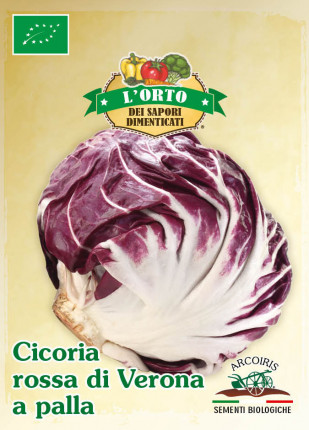 Chicory Rossa di Verona a Palla - Organic Seeds