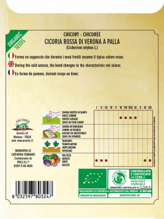 Chicory Rossa di Verona a Palla - Organic Seeds