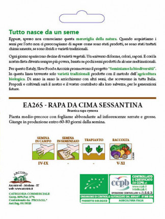 Raabs Broccoli Sessantina - Organic Seeds
