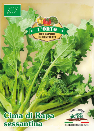 Raabs Broccoli Sessantina- Organic Seeds